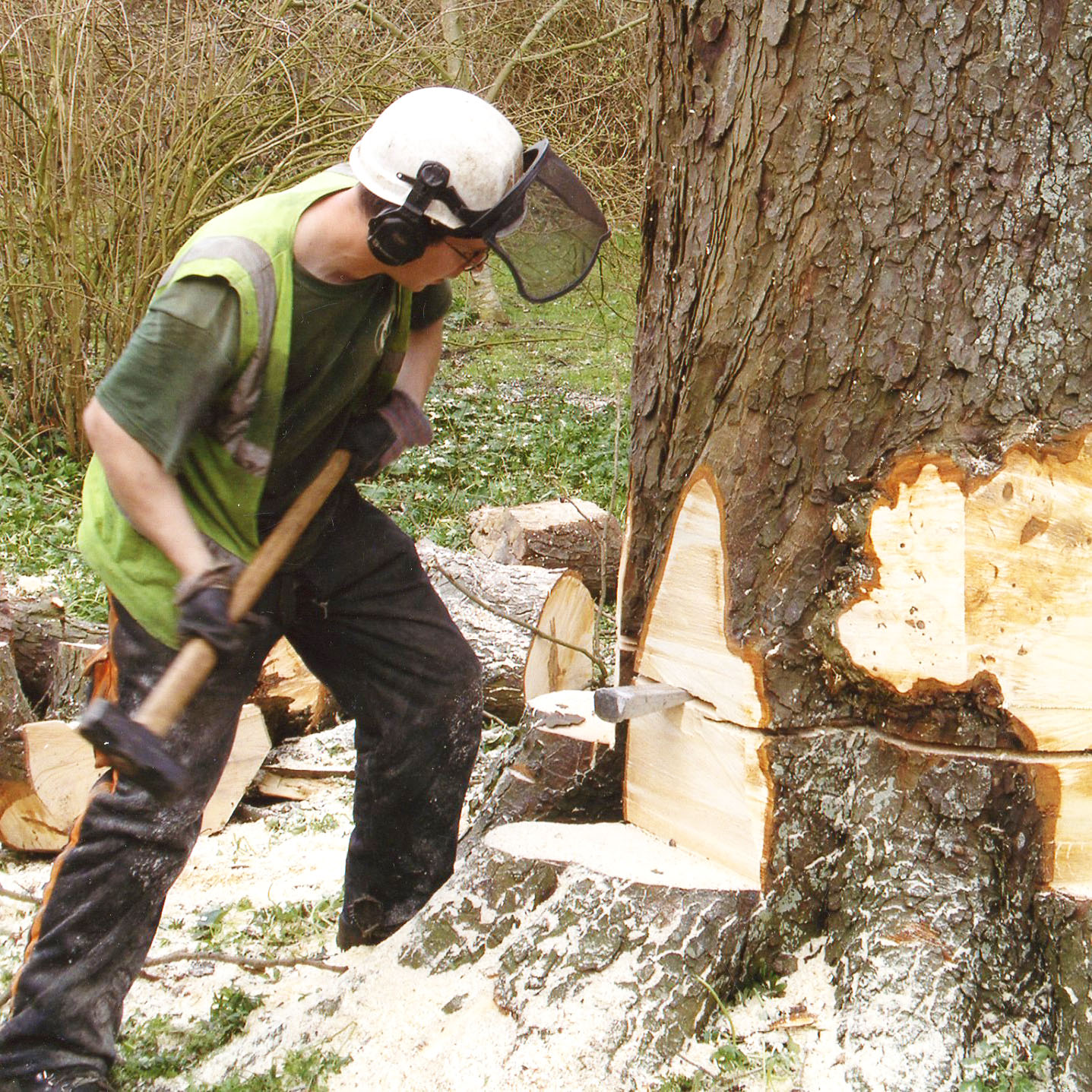 Neill with mallet and axe head